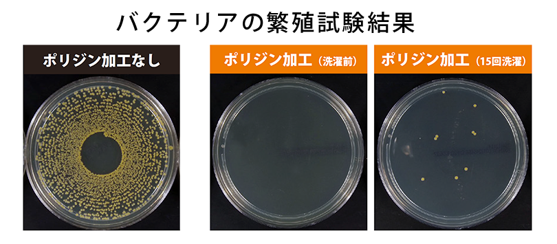 ポリジン加工 バクテリアの繁殖試験結果
